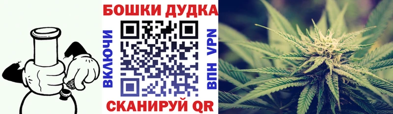 Канабис план  Вологда 
